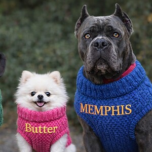 Name Embroidery on Your Own Item. Three dogs wearing personalized knitted sweaters with Name Embroidery on Your Own Item, embroidered names Kholisy Butter and Memphis